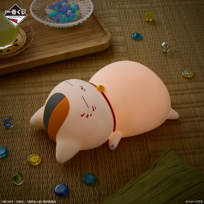 Kuji - Natsume's Book of Friends - We Wish you a Great Summer!