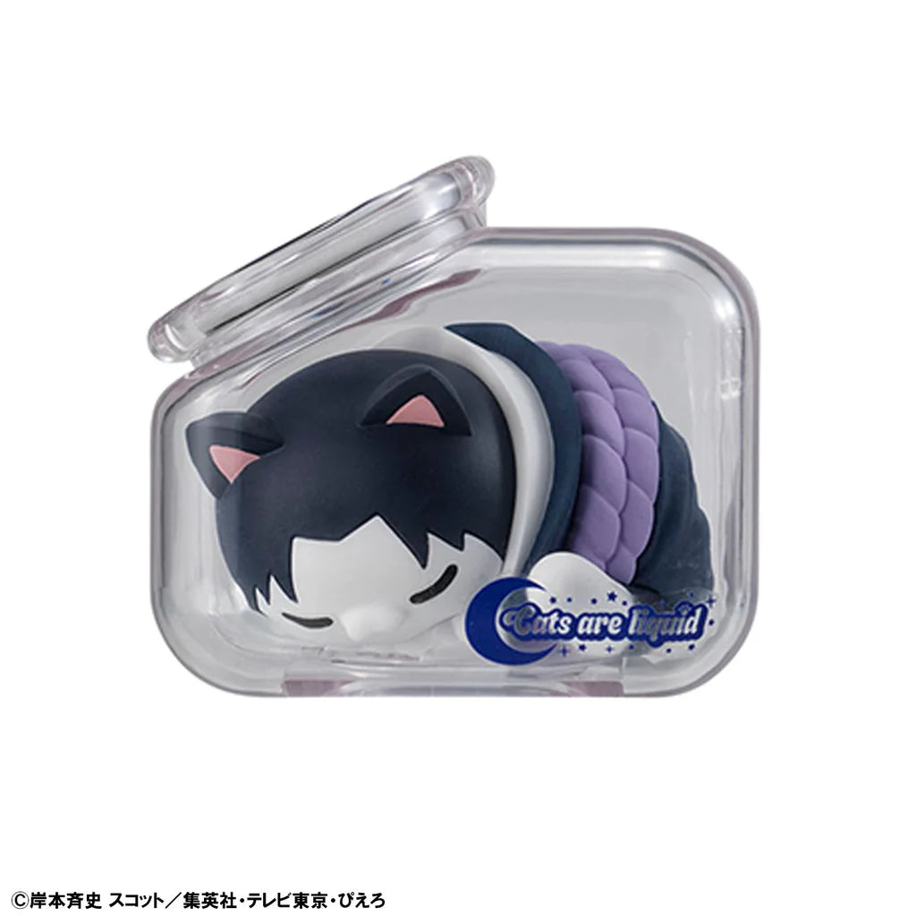 Blind Box - Goodnight Nyaruto! Cats are Liquid - Megahouse