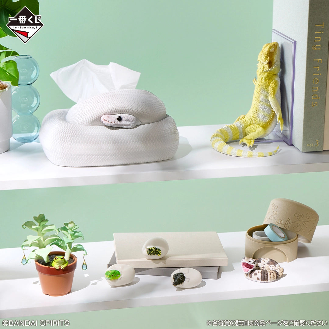 Kuji - Reptiles & Amphibians ~Tiny Friends~ vol.3