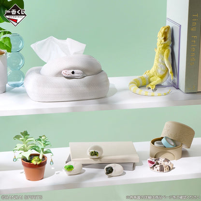 Kuji - Reptiles & Amphibians ~Tiny Friends~ vol.3