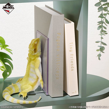Kuji - Reptiles & Amphibians ~Tiny Friends~ vol.3