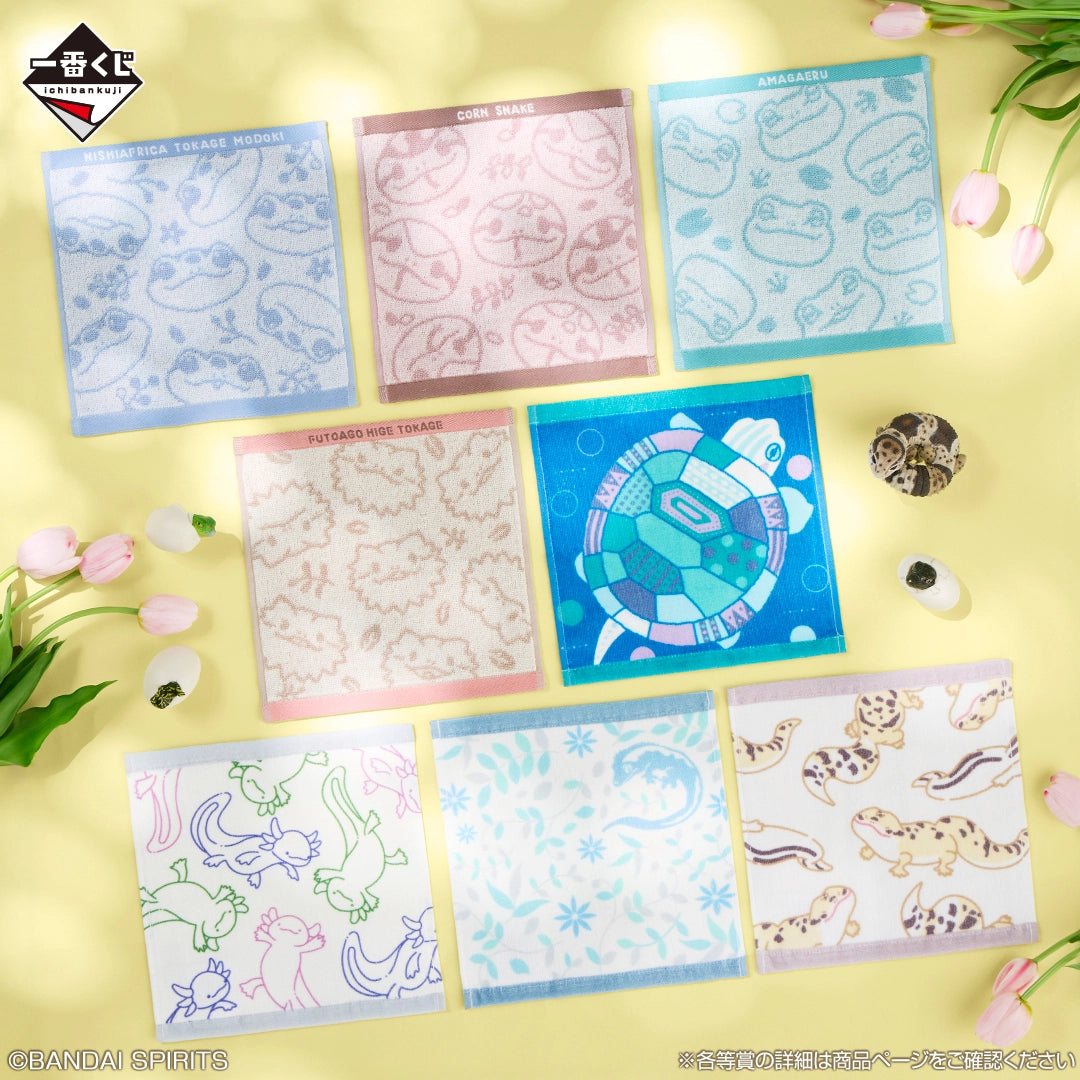 Kuji - Reptiles & Amphibians ~Tiny Friends~ vol.3