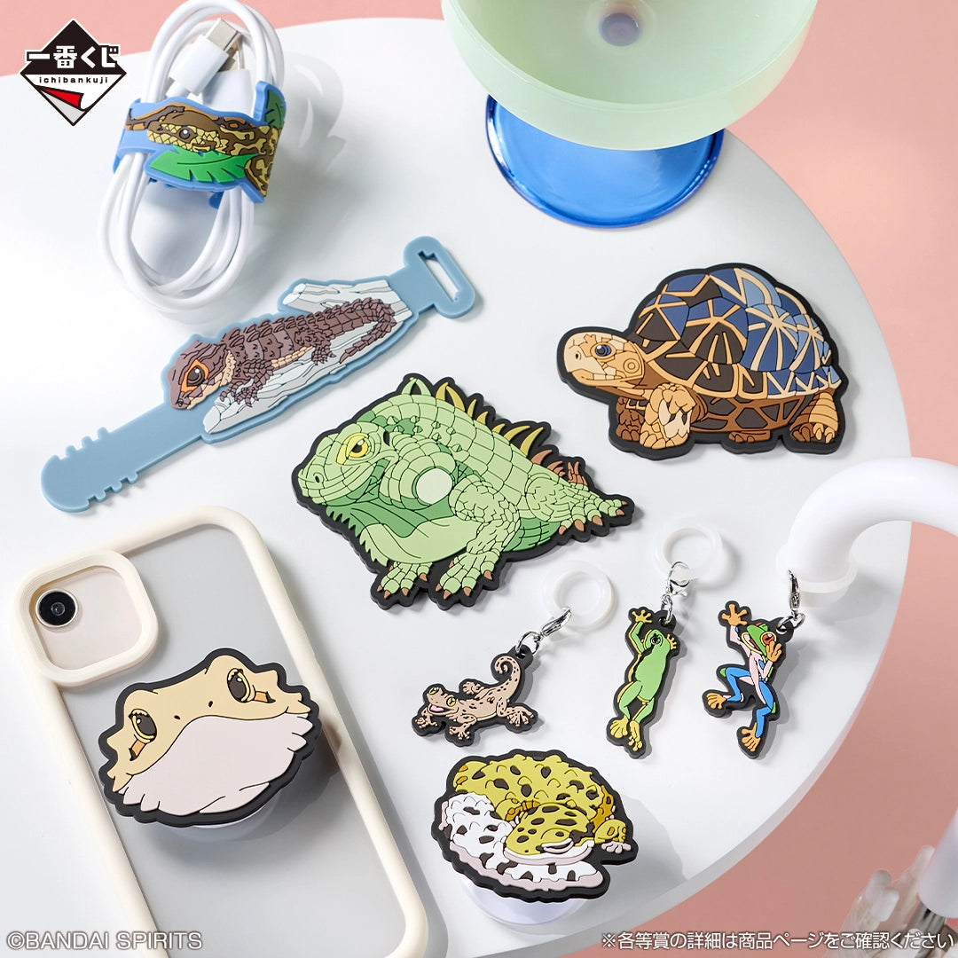 Kuji - Reptiles & Amphibians ~Tiny Friends~ vol.3