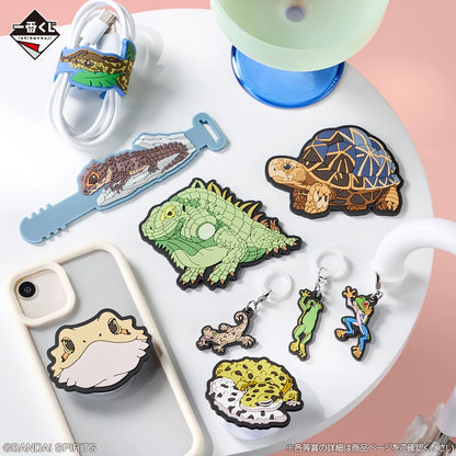 Kuji - Reptiles & Amphibians ~Tiny Friends~ vol.3