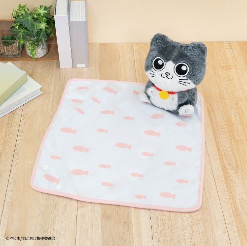 Kuji - The Old Man Who Reincarnated as a Cat