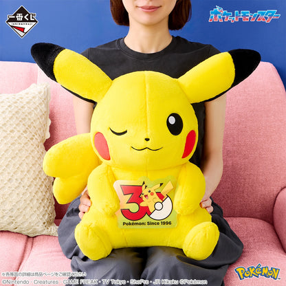 Kuji - Pokémon 30th ANNIVERSARY vol.2