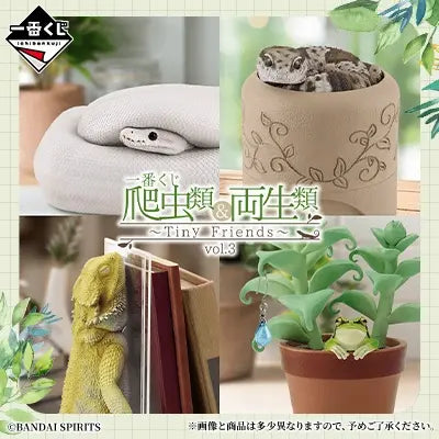 Kuji - Reptiles & Amphibians ~Tiny Friends~ vol.3