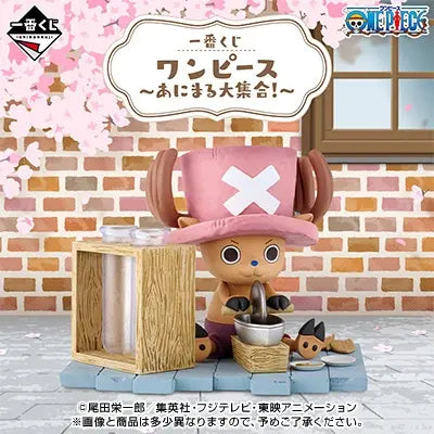 Kuji - One Piece - Animaru Gathering